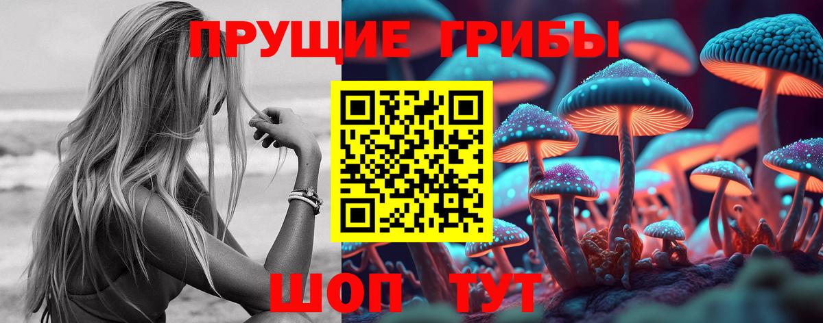 Псилоцибиновые грибы Psilocybe  где продают   Северобайкальск  Вход с VPN 